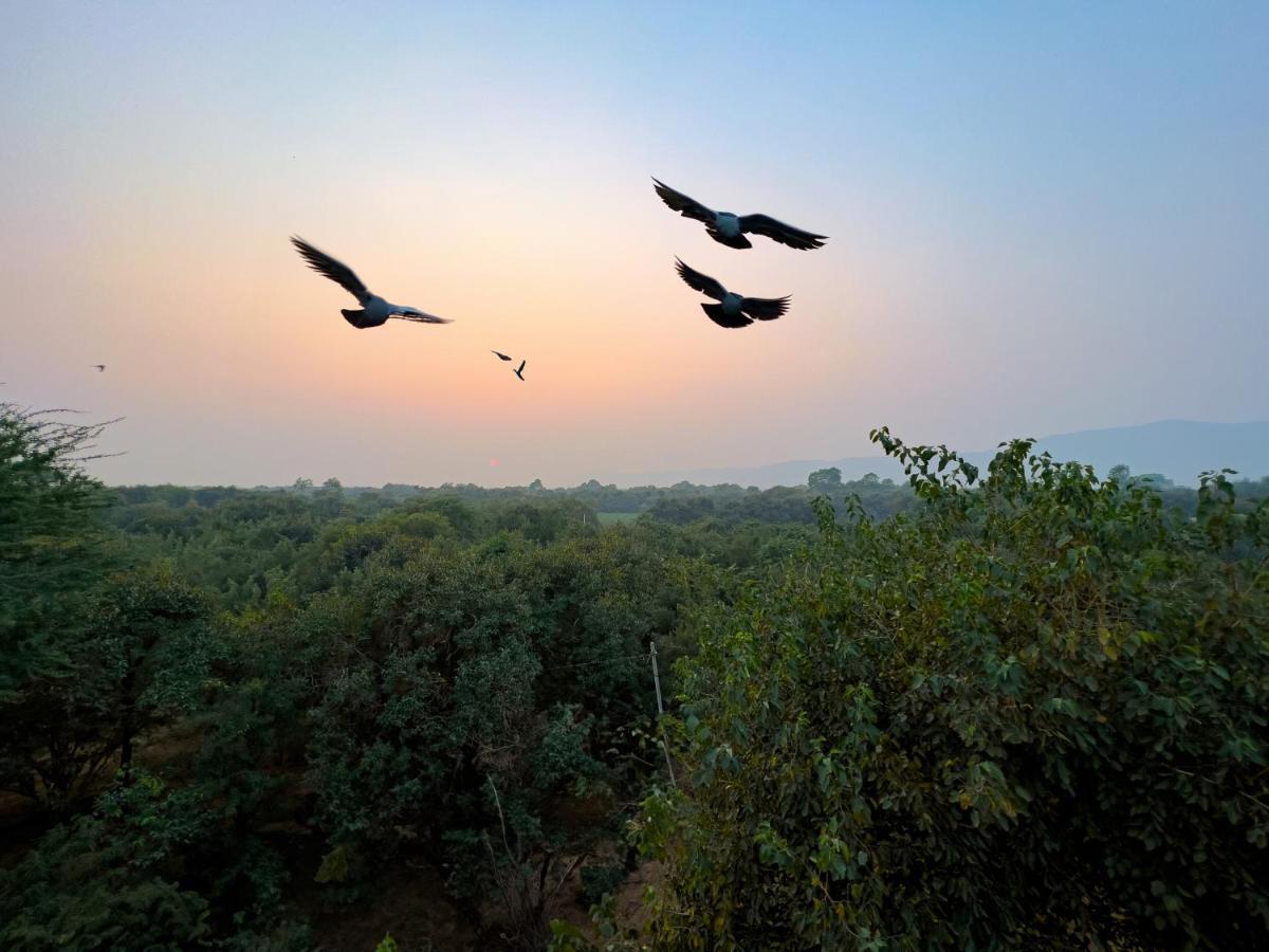 Joy Bagh Resort Pushkar Eksteriør bilde